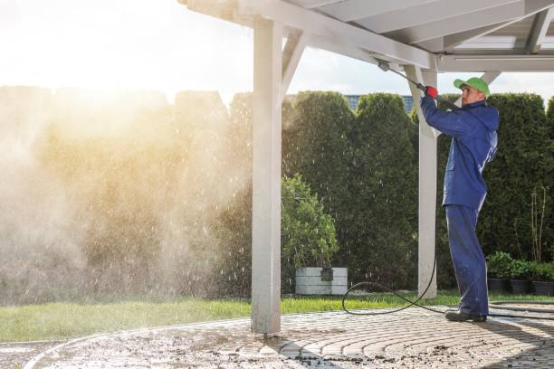 Animal Enclosure Cleaning in Indian Hills, CO